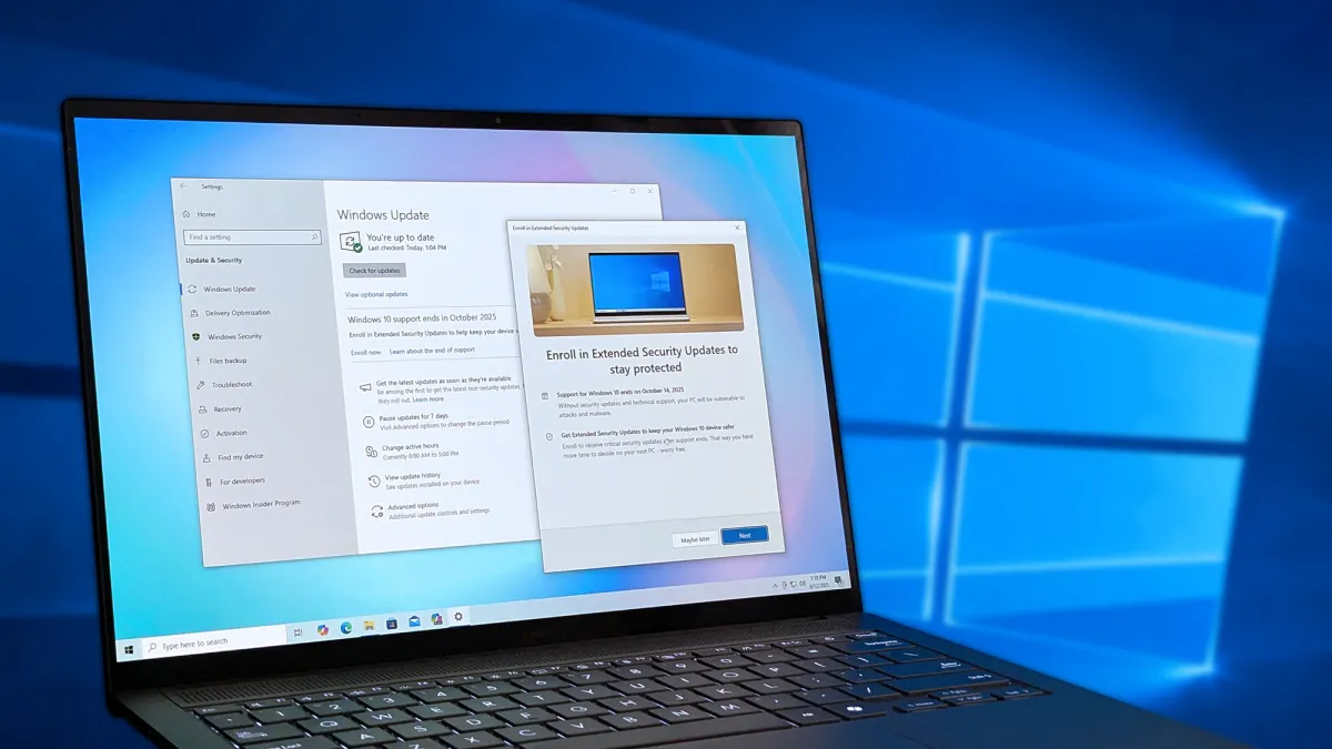 Windows 10 Consumer Extended Security Updates (ESU)